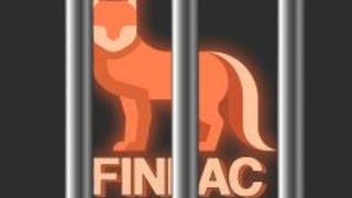 FiveM Anticheat FiniAC is TOS VERY illegal what theyre doing  Global Ban  Report them to CFXRE [upl. by Edmund837]