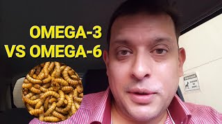 OMEGA3 VS OMEGA6 Health benefits [upl. by Oinotnanauj852]