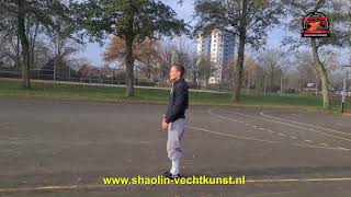 Ji Ben Gong 25 Shaolin Kung Fu  Martial Arts  Fundamental Skills [upl. by Alisen]