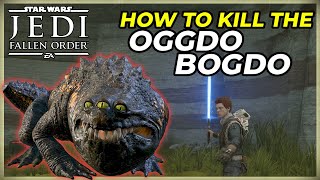 HOW TO KILL THE OGGDO BOGDO IN STARWARS JEDI FALLEN ORDER  KILLING THE OGGDO BOGDO NO UPGRADES [upl. by Nav]