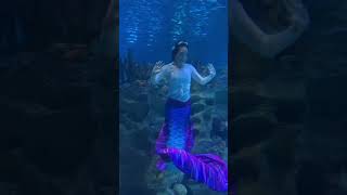 Underwater Mermaid Performance Aquaria KLCC [upl. by Lonna]