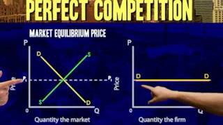 Perfect competiton Demand curve for individual producer [upl. by Annig]