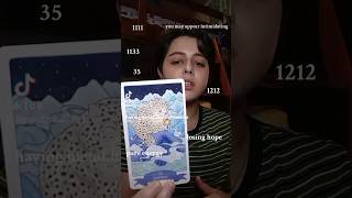 THEY DONT WANT TO MESS THIS UP😬😩TAROT READING channeledmessages collective tarot [upl. by Acinod]