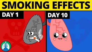 What Happens to Your Body When You Quit Smoking [upl. by Jerol]