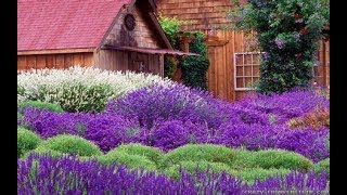 What are the differences in LavenderGarden Style nw [upl. by Cavil71]