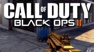 Black Ops 2  Camper Justice 3 Black Ops 2 Funny Camper Trolling [upl. by Nnyledam]