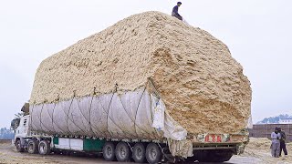 How Tons of Sugarcane Waste is Loaded amp Transported [upl. by Anerok]