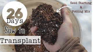 How To Make Seed Starting Mix and Potting Soil UNBELIEVABLE Results [upl. by Westney451]