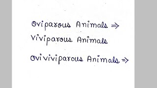 oviparous animals  viviparous animals  ovoviviparous animals [upl. by Ecissej]