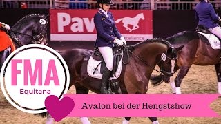 FMA Equitana  AVALON Hengstshow  HUMBAUR [upl. by Isac398]