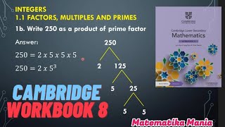 Mathematic Cambridge Lower Secondary Workbook 8 Integers Part 11 [upl. by Poock]