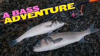 Bass Fishing ¦ New PB ¦ Lure amp Bait Fishing UK [upl. by Perretta]