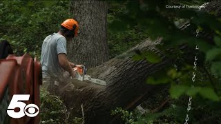 Bentonville says reopening of cycling trails underway after storm cleanup [upl. by Cliff]