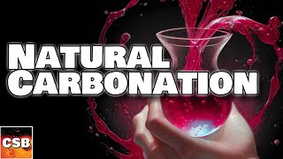 Natural Carbonation Explained Carbonating Mead Wine Cider and Beer [upl. by Alburga]