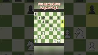 Two rooks amp two knights Magical Chess  White in attacking  Black Deffencing  White wins [upl. by Gorton134]