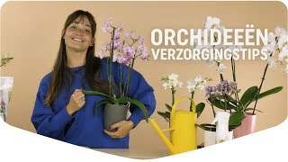 Zó zorg je voor je prachtige orchideeën [upl. by Clifton]