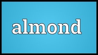 Almond Meaning [upl. by Llebyram630]