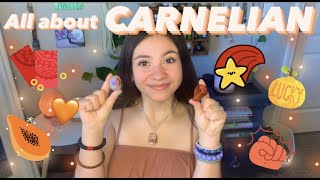 CARNELIAN PROPERTIES  crystal properties amp benefits [upl. by Melliw875]