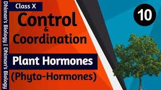 Control amp Coordination  L10  PhytoHormones  Plant Hormones  Plant Growth Regulators PGR [upl. by Devinna]