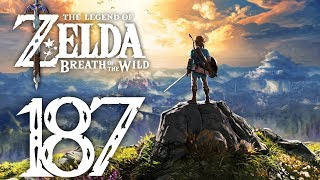 Lets Play Zelda Breath of the Wild Part 187 Der Schatten weist den Weg [upl. by Herrick699]