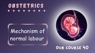 REV mechanism of normal labour  page149159  part 1 [upl. by Rheims164]