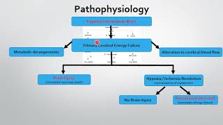 Birth AsphyxiaHypoxic ischemic Encephalopathy [upl. by Tamar]