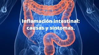 ¿Qué es un intestino inflamado cuáles son sus síntomas y las causas que lo provocan [upl. by Rasec]