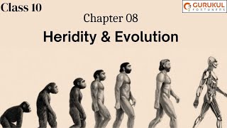 Class 10 CBSE heredity revision2 lectures  genetics important terms  laws of inheritance part 2 [upl. by Leik]