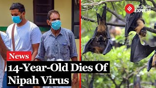 Nipah Virus 14YearOld Boy From Kerala Dies Of Nipah Virus Health Officials On High Alert [upl. by Maryanna]