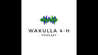 Episode 9  Prom with a Purpose How Wakulla 4H Went Back to the 50s with Senior Citizens on V [upl. by Polash]