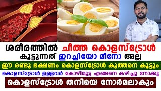 കൊളെസ്ട്രോൾ ഉള്ളവർ കോഴിമുട്ട ഇങ്ങനെ കഴിച്ചാൽ മതി cholestrol kurykkaan malayalam Dr Umer Mukhthar [upl. by Enelyam902]