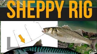 Sea Fishing rig guide  The Sheppy Weirdo rig [upl. by Attekal]