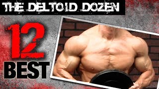 12 Best Shoulder Exercises THE DELTOID DOZEN [upl. by Namaan]