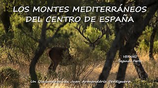 TRÁILER EL MONTE MEDITERRÁNEO DEL CENTRO DE ESPAÑA VERANO SEGUNDA PARTE [upl. by Itirp]