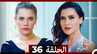 التفاح الحرام الحلقة ال 36 Arabic Dubbed [upl. by Anatnahs]