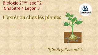 Biologie 2ème sec Chapitre 4 Leçon 3 Lexcrétion chez les plantes الاخراج3 [upl. by Alohcin531]