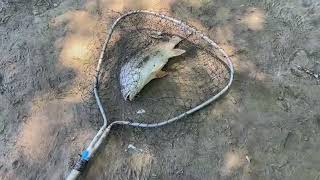 Fishing For Freshwater Drum In Starved Rock [upl. by Shamma385]