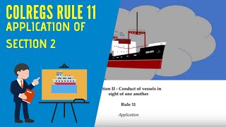 IRPCS Masterclass Rule 11 Application [upl. by Itaws]