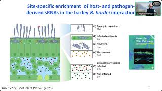 IBH Seminar  Crosskingdom RNA communication in the barleypowdery mildew interaction [upl. by Semreh]