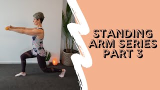 Pilates Standing Arm Series  Part 3 [upl. by Anaujnas]