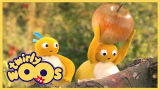 Twirlywoos  Big Twirlywoos Compilation 5  Best Moments  Fun Learnings for kid [upl. by Cannon]