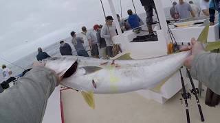 INSANE YELLOWTAIL BITE on The San Diego [upl. by Sinnylg]