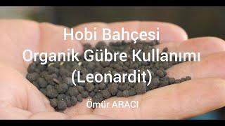 Hobi Bahçesi Organik Gübreleme 7  Leonardit Kullanımı  Ömür ARACI [upl. by Tedd844]