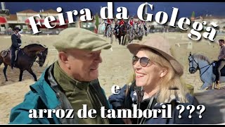 FEIRA DA GOLEGÃ E ARROZ DE TAMBORIL  223 [upl. by Bearce445]