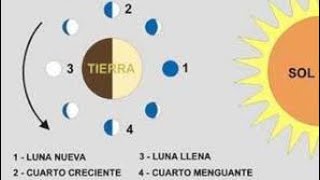 Las fases de la luna  Ciencias Naturales [upl. by Dlaniger]