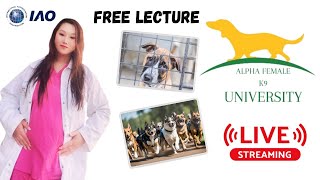 DR STEPHANIE LAURENS  DOG PSYCHOLOGY FREE LECTURE CLASS ONLINE [upl. by Niliac534]