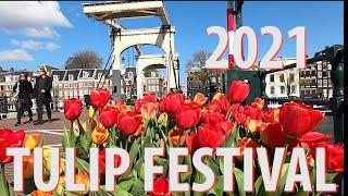 Tulip Festival Amsterdam 2021 [upl. by Eugen]