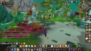 questie 81 An Occupation of Time 25581 WORLD OF WARCRAFT [upl. by White]