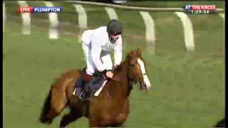 Sire De Grugy preCheltenham 2014 gallop [upl. by Rafaelia]