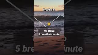 Breathing Exercise 5 Breaths Per Minute [upl. by Nbi]